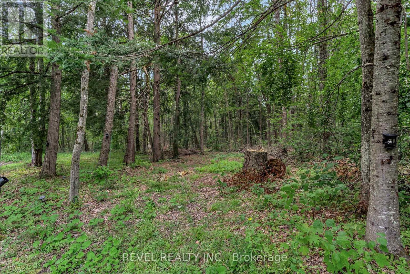 Photo 44 of 3515 County Rd 121 Road, Kawartha Lakes ON