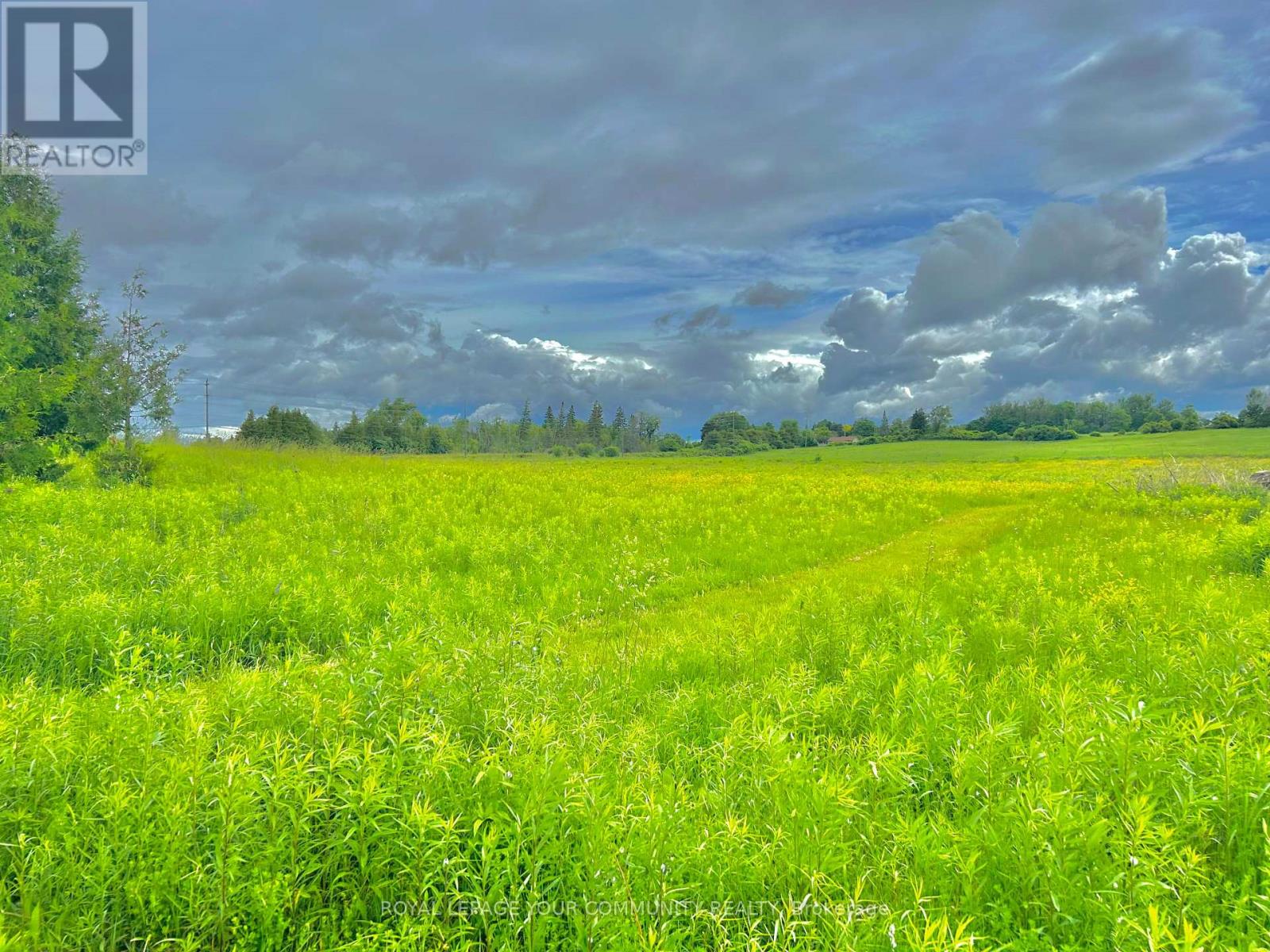 Photo 20 of 2236 County 36 Road, Kawartha Lakes ON