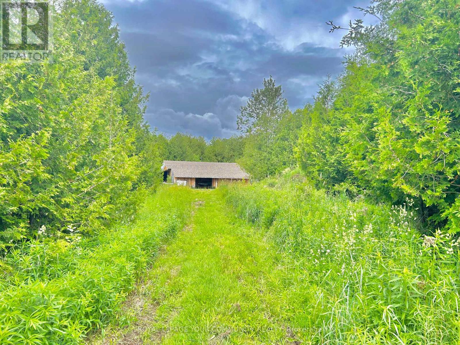 Photo 41 of 2236 County 36 Road, Kawartha Lakes ON