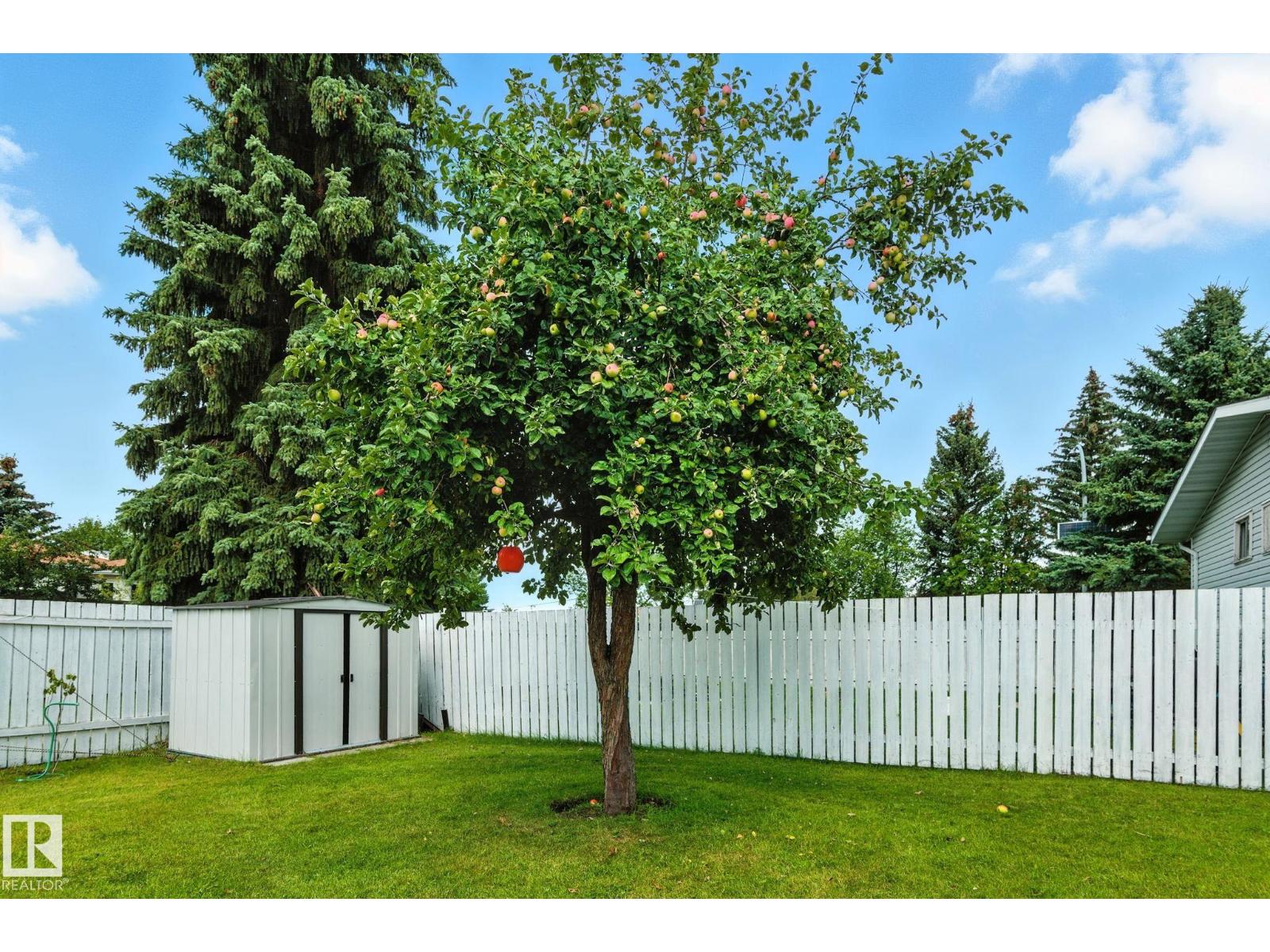 Photo 57 of 1112 56 St Nw, Edmonton AB