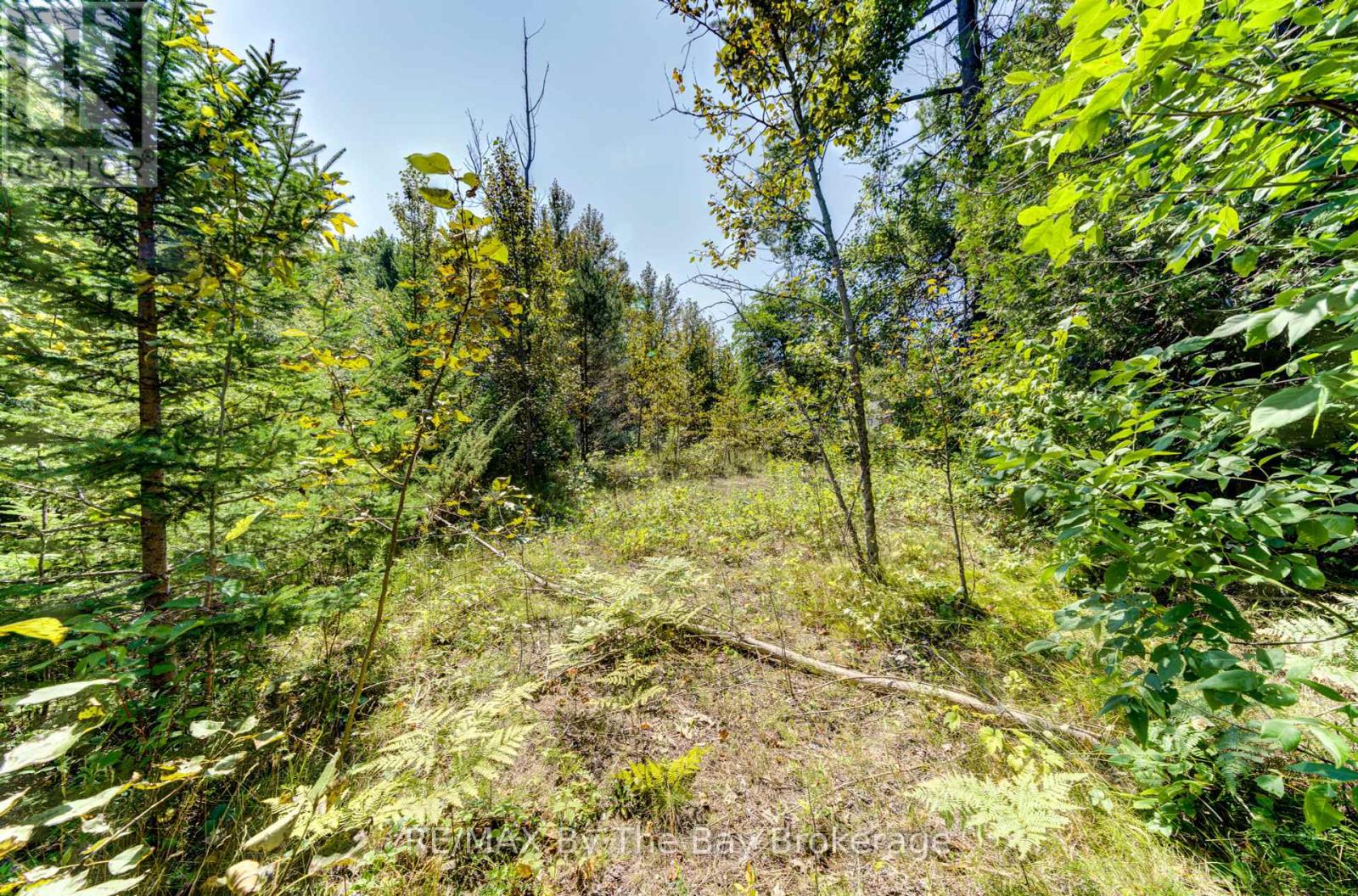 Photo 4 of Lot 55 55th Street S, Wasaga Beach ON