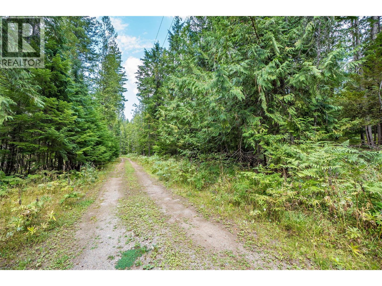 Photo 61 of 8780 Martens Road, Slocan BC
