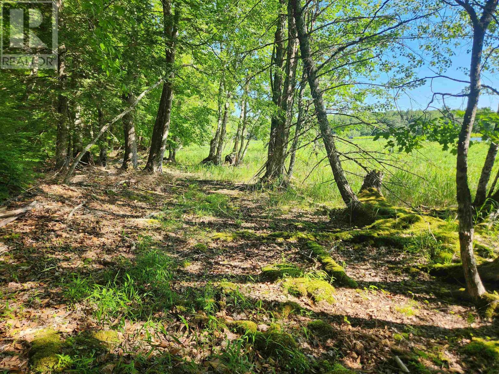 Property 18 of 19 of Lot 18-1 Peters Point Road