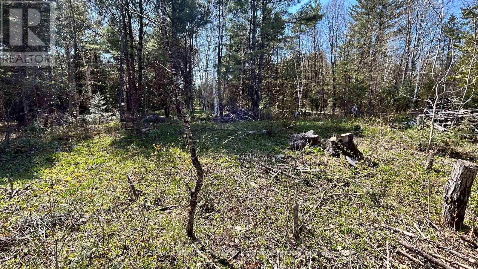 Vacant Land for Sale in  URSA ROAD Highlands East (Glamorgan) 