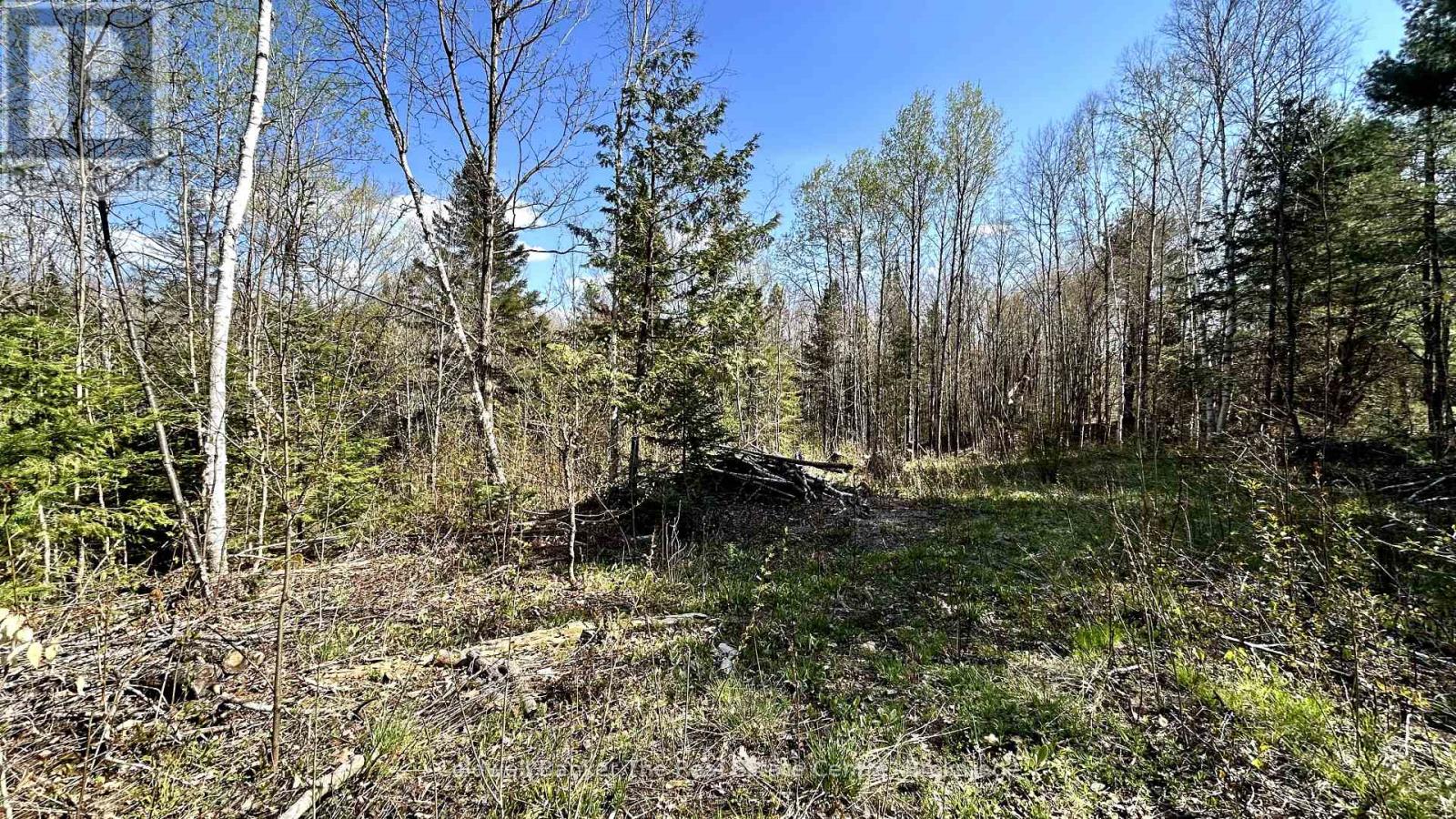 Vacant Land for Sale in  URSA ROAD Highlands East (Glamorgan) 