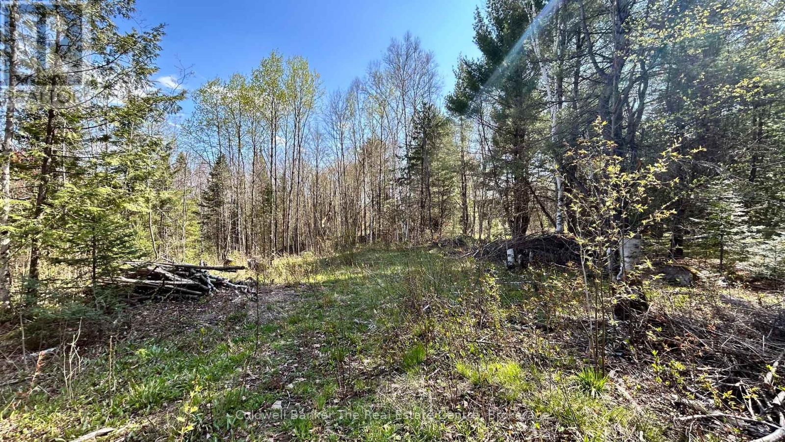 Vacant Land for Sale in  URSA ROAD Highlands East (Glamorgan) 