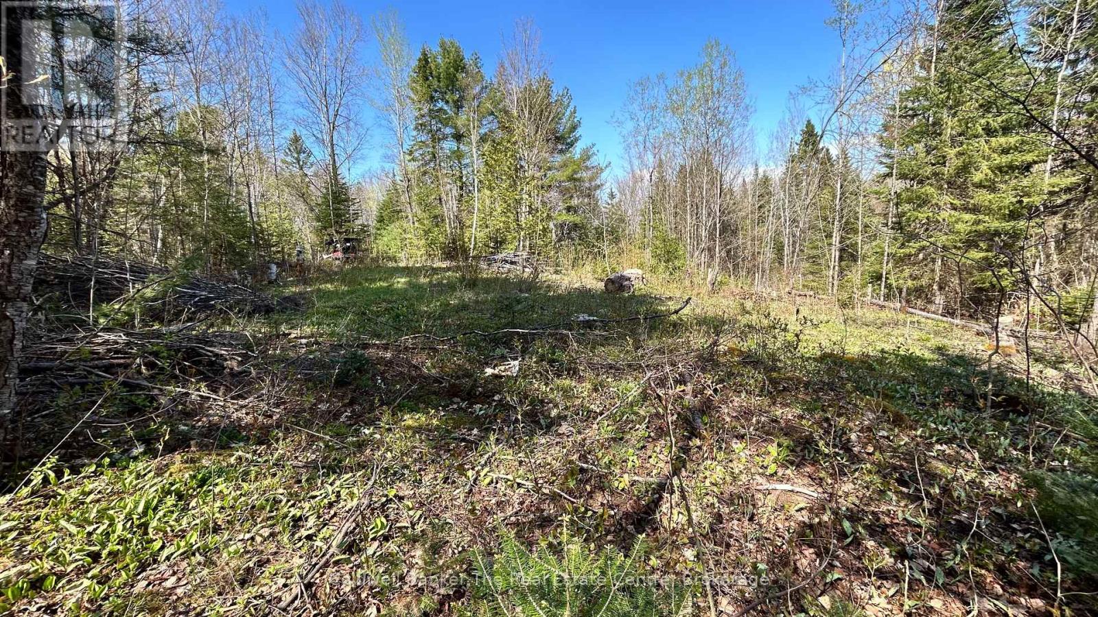 Vacant Land for Sale in  URSA ROAD Highlands East (Glamorgan) 