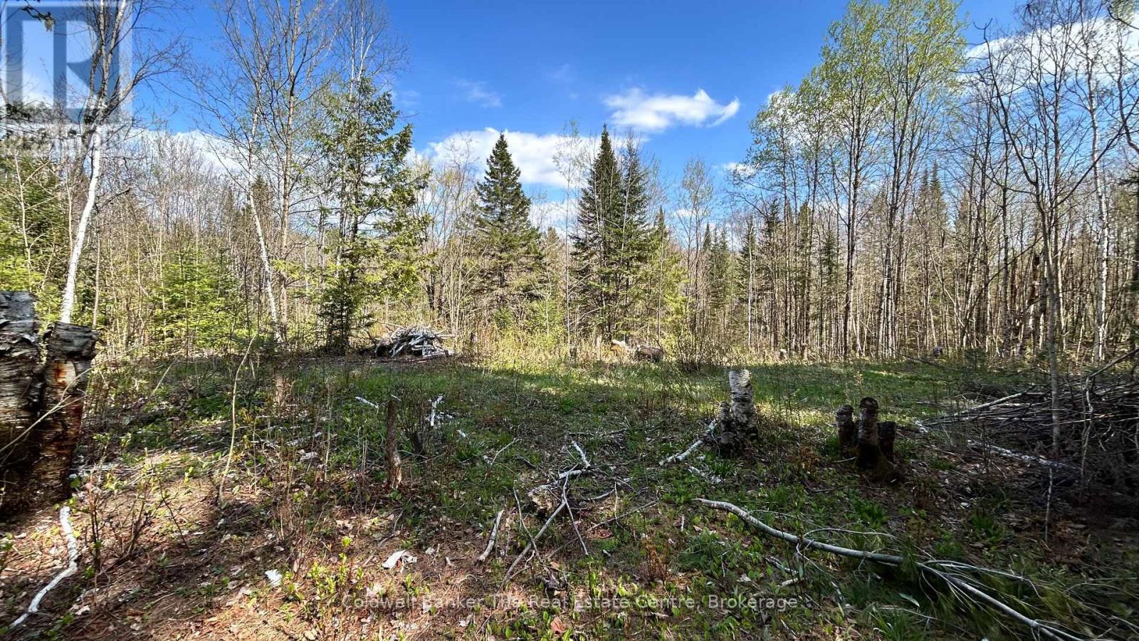 Vacant Land for Sale in  URSA ROAD Highlands East (Glamorgan) 