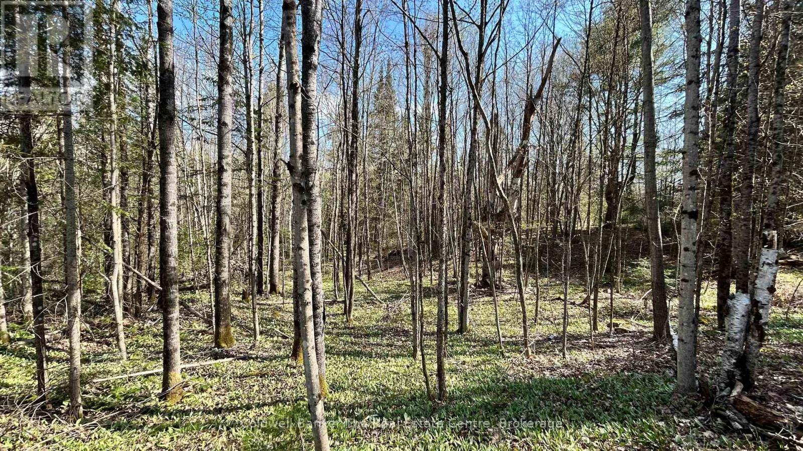 0 URSA ROAD, Highlands East (Glamorgan), Ontario