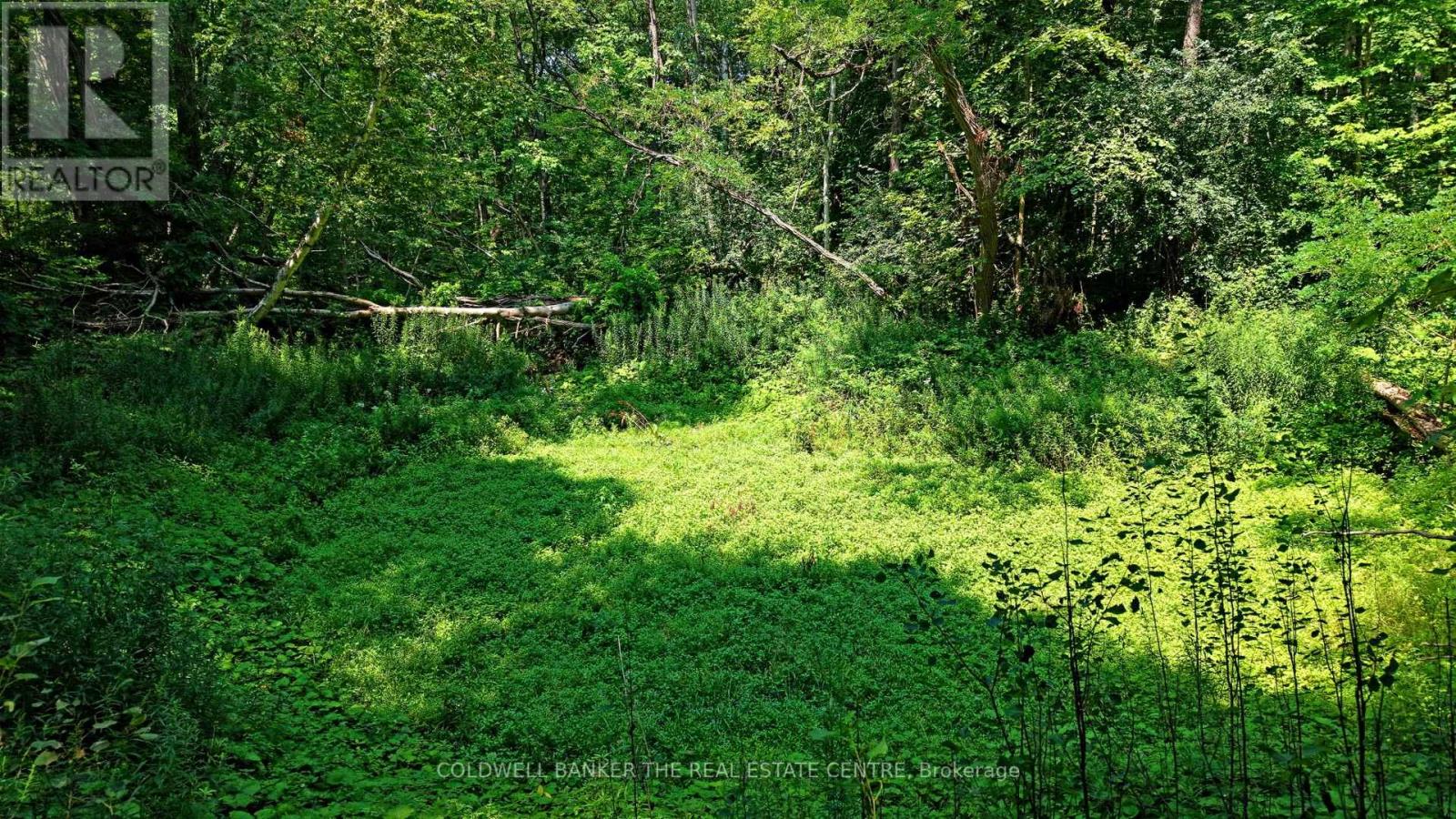 Photo 20 of 15600 Weston Road, King ON