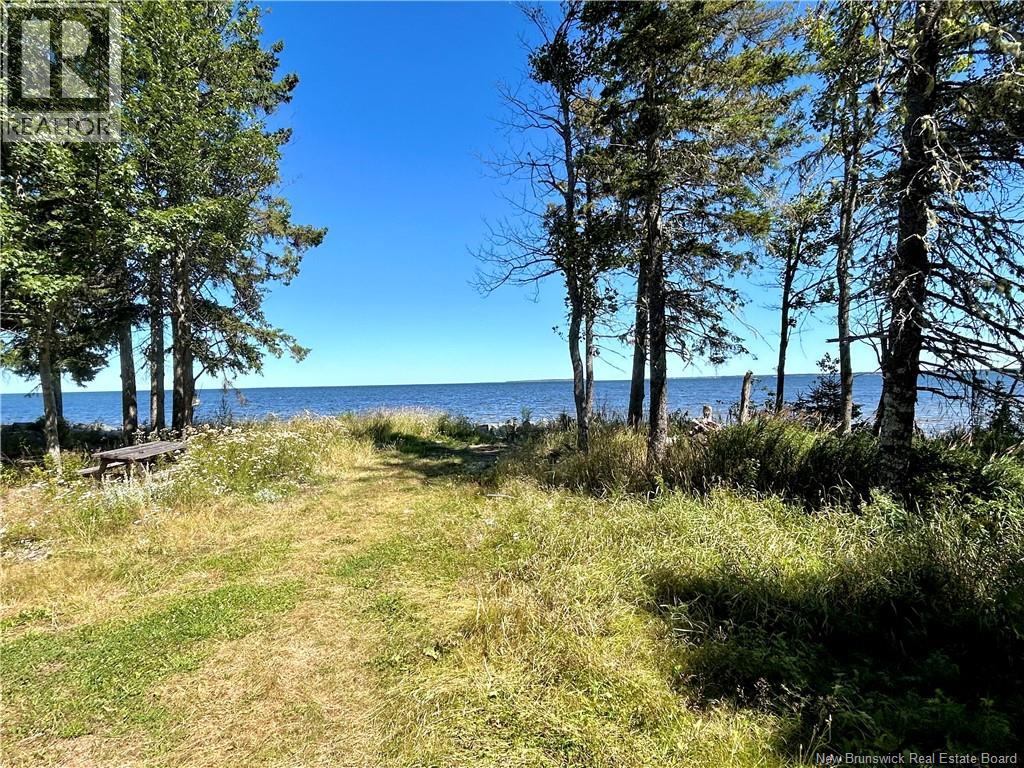 Photo 3 of 35 Lilypad Lane, Napan NB