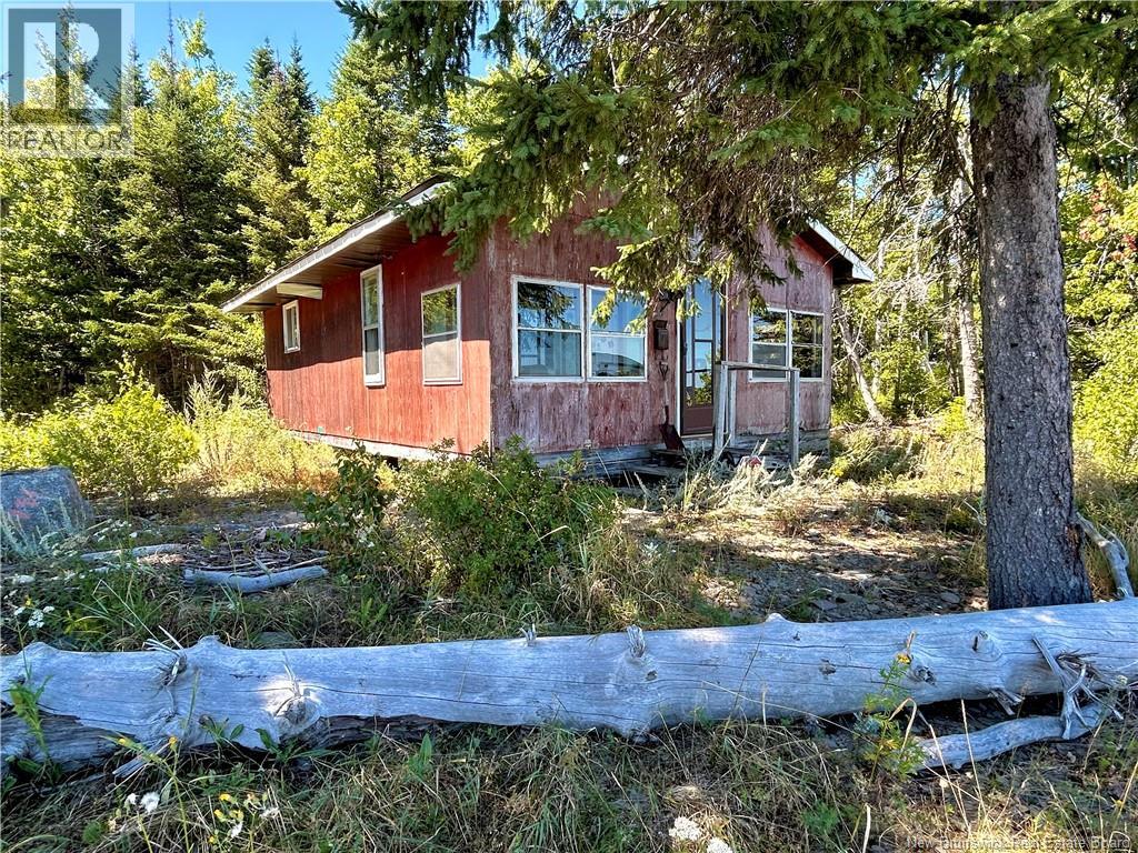 Photo 12 of 35 Lilypad Lane, Napan NB