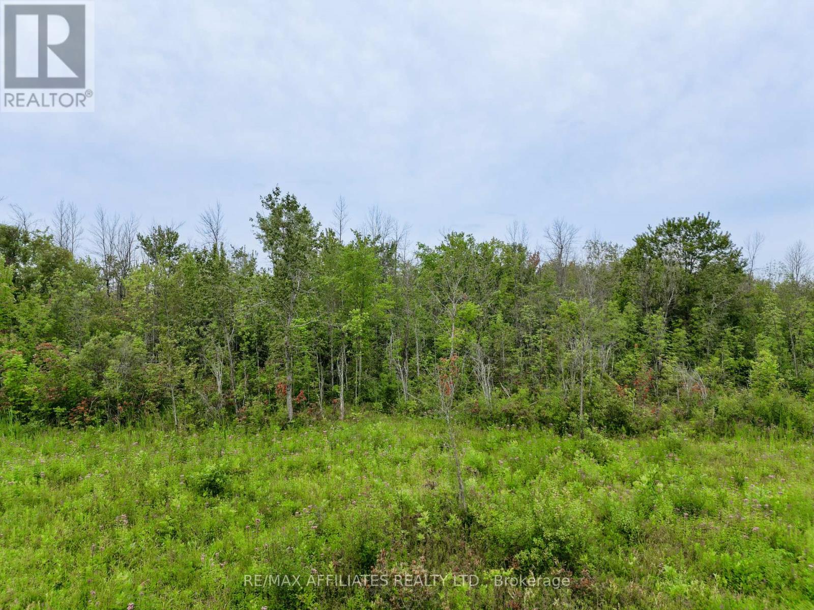Photo 5 of 12620 County Rd 15 Road, Merrickvillewolford ON