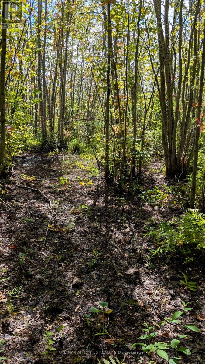 Photo 6 of 12620 County Rd 15 Road, Merrickvillewolford ON