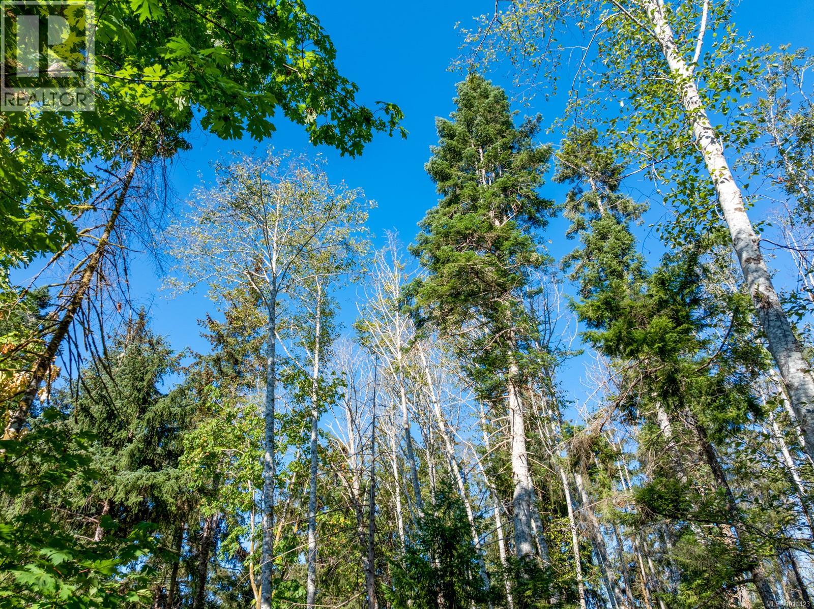 Photo 7 of Lt 19 Reef Rd, Fanny Bay BC