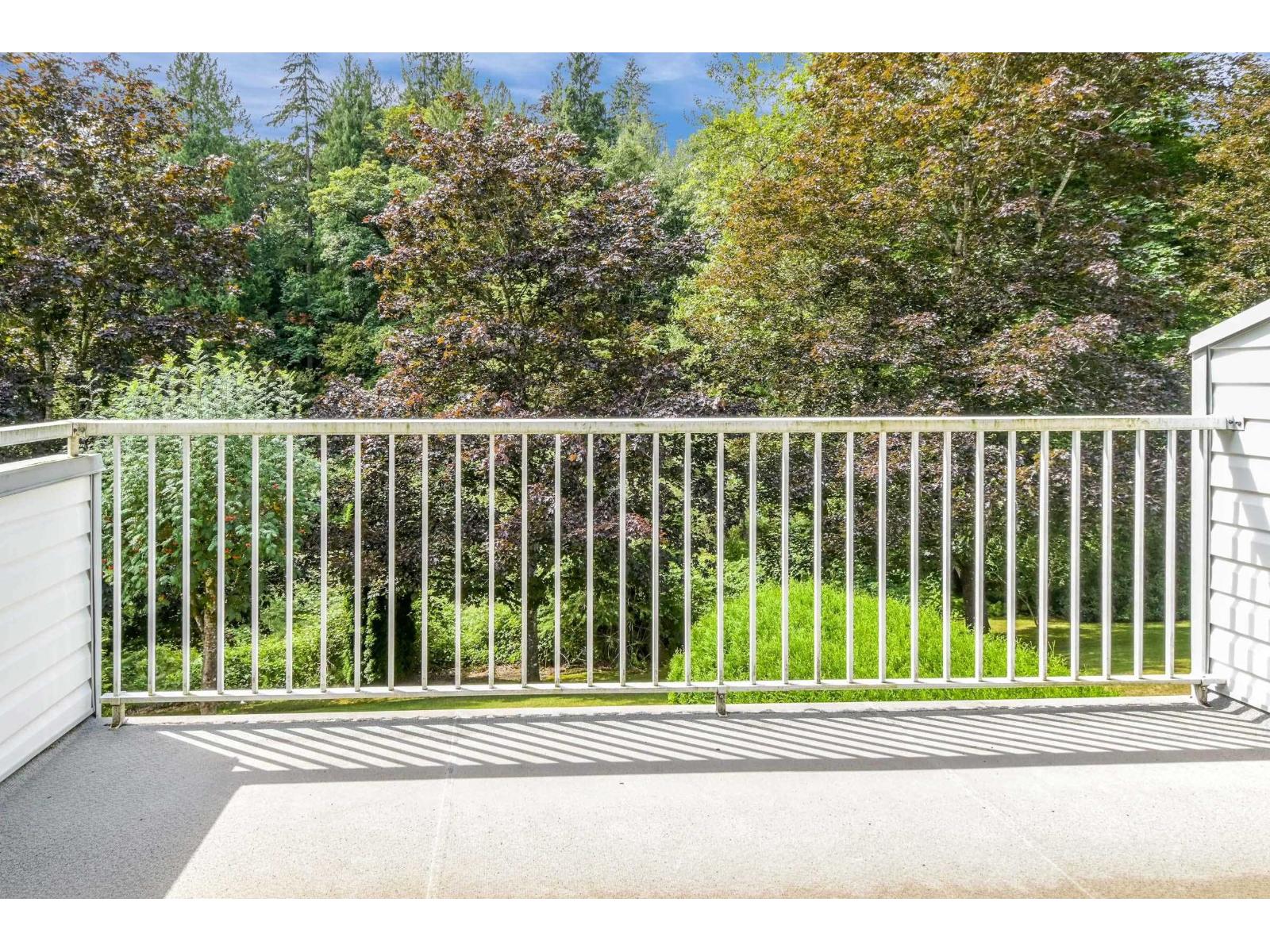 Photo 24 of 14 3351 Horn Street, Abbotsford BC