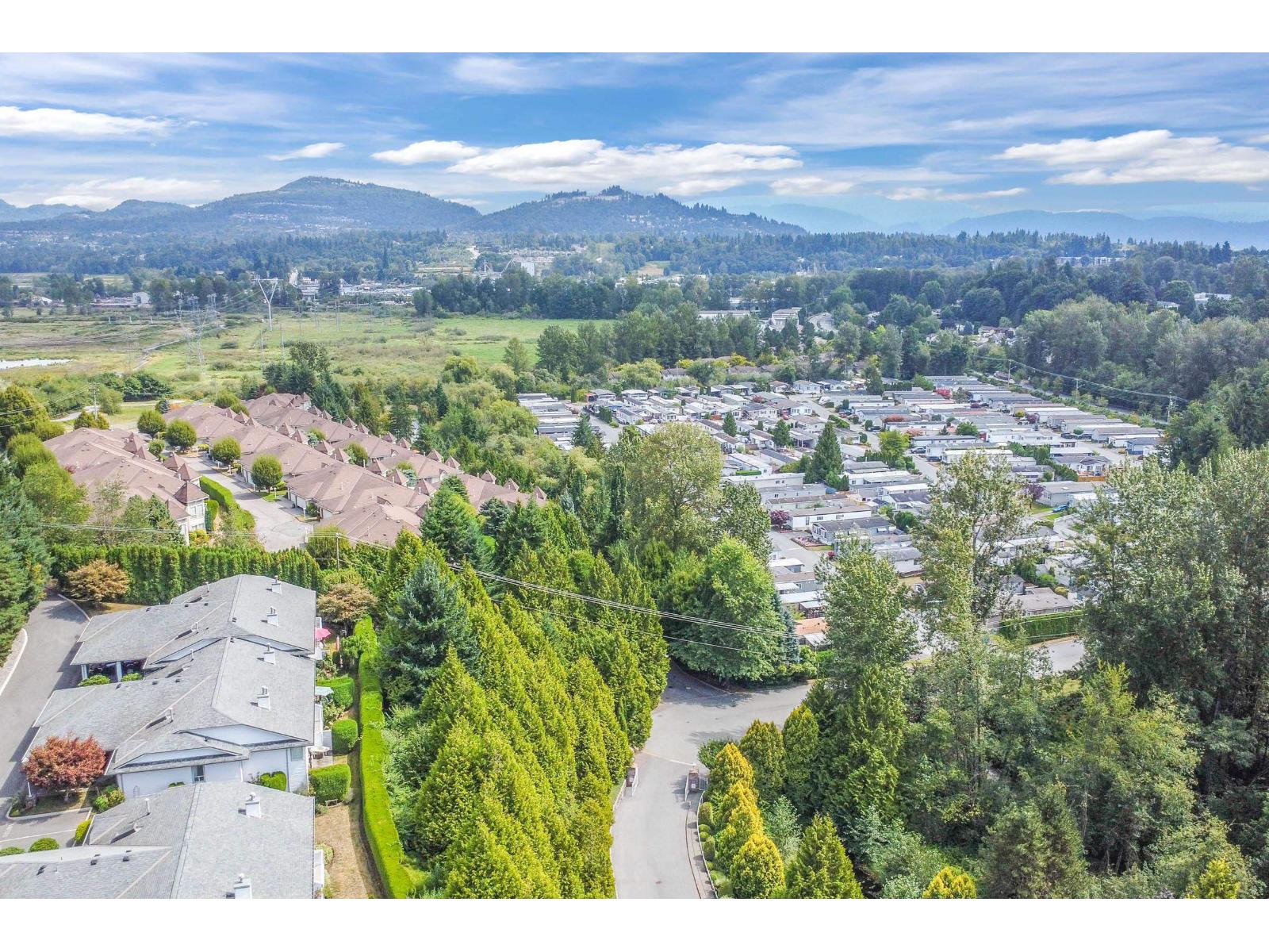 Photo 37 of 14 3351 Horn Street, Abbotsford BC