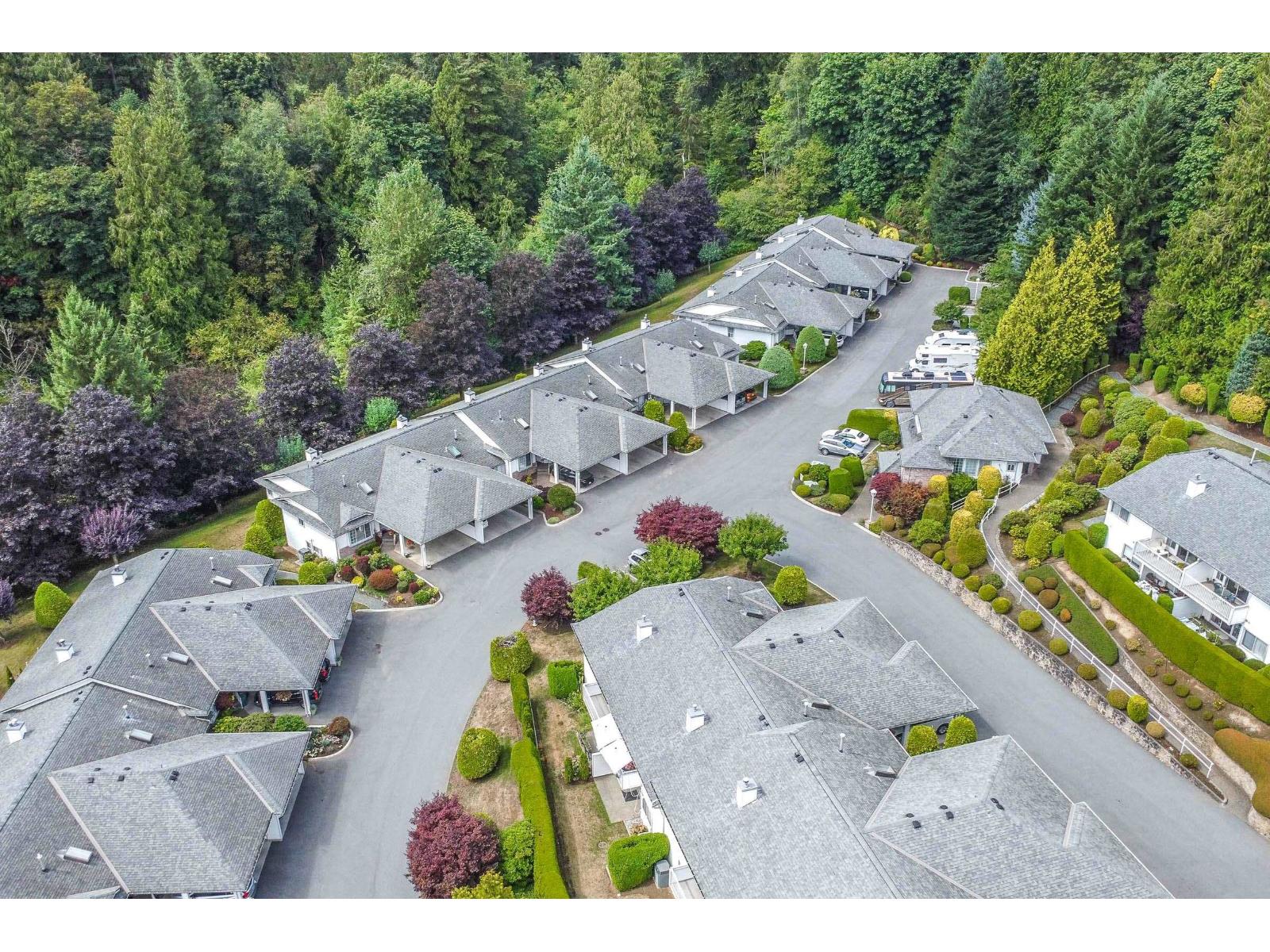 Photo 39 of 14 3351 Horn Street, Abbotsford BC