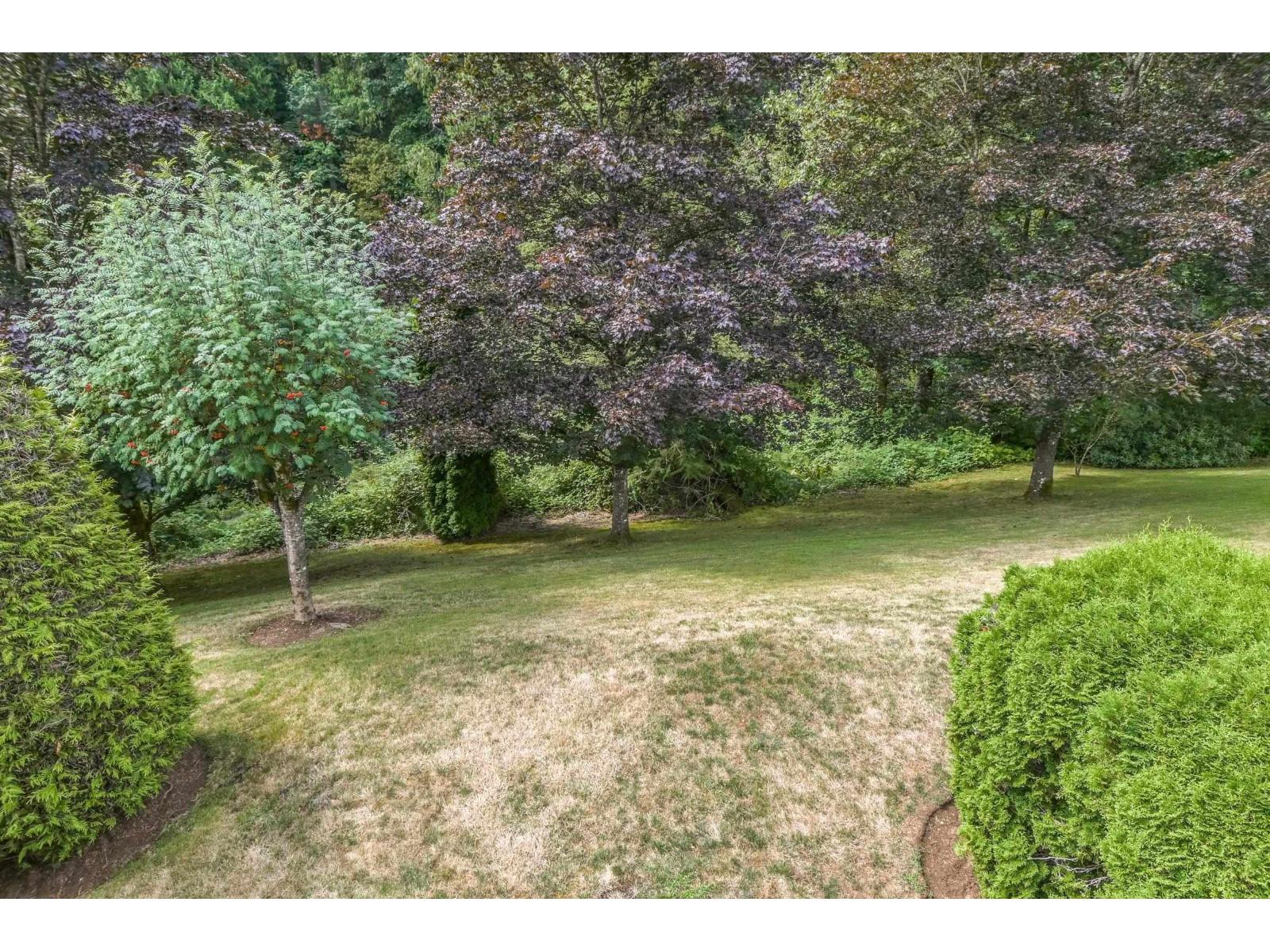 Photo 26 of 14 3351 Horn Street, Abbotsford BC
