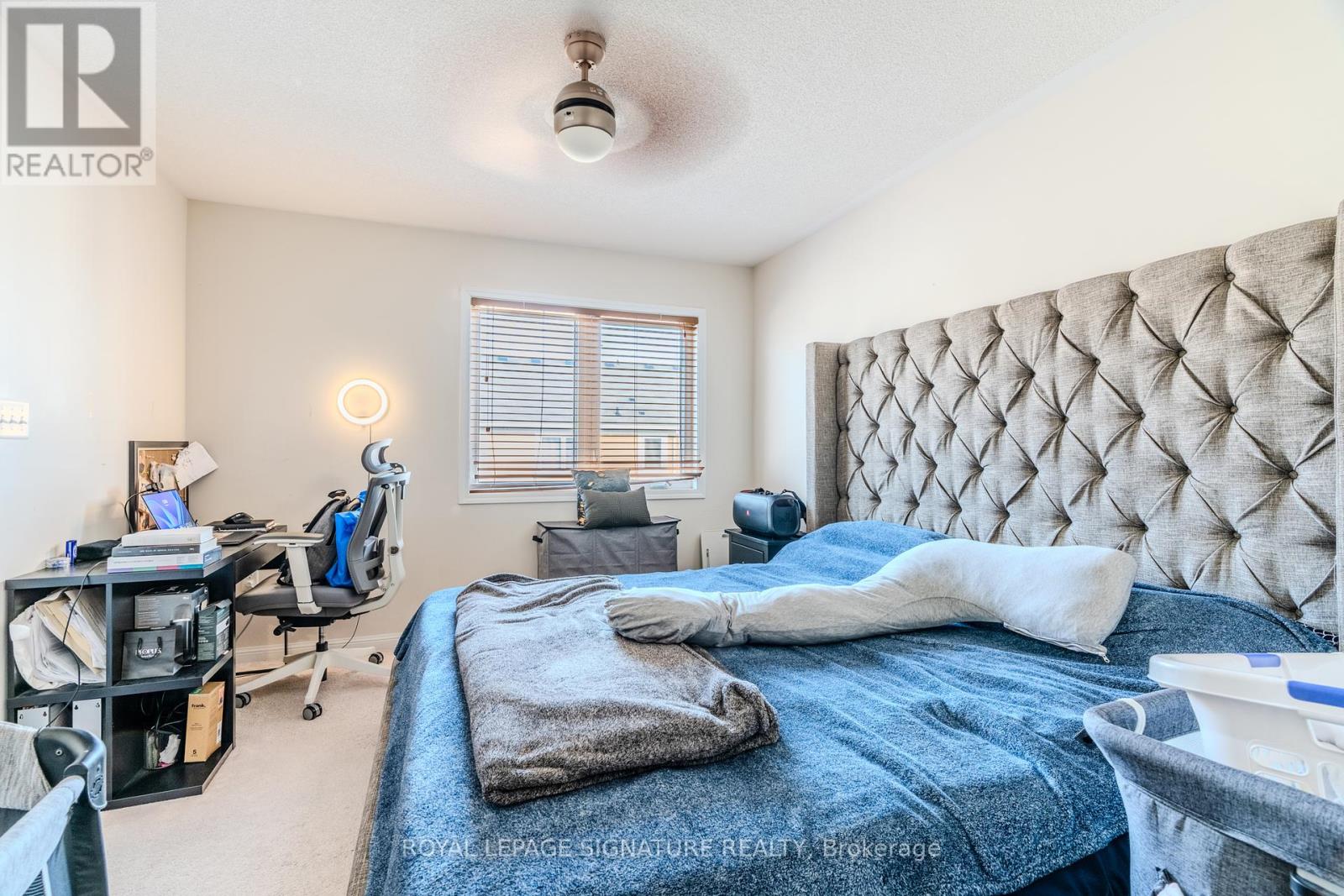 Photo 18 of 81 Bevington Road, Brampton ON