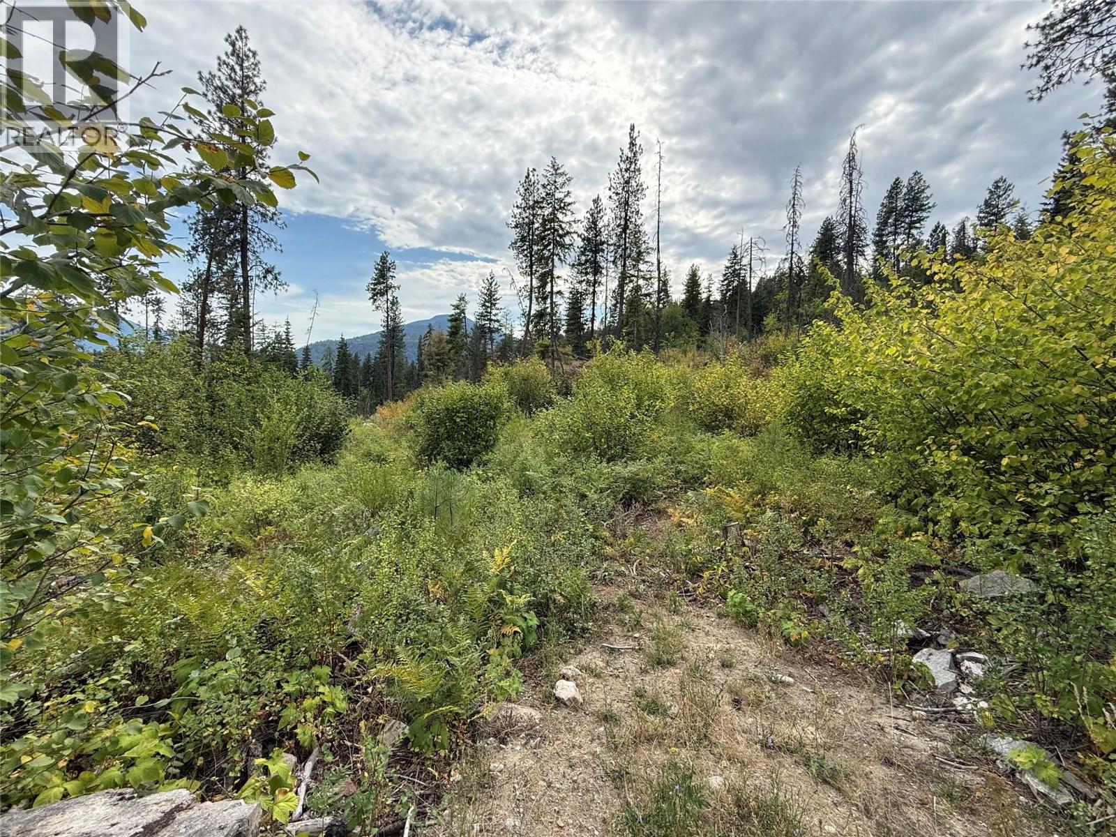 Photo 12 of 3112 Sadler Road, South Slocan BC