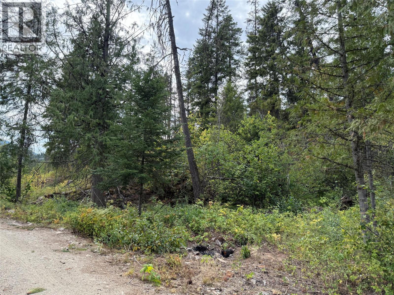 Photo 31 of 3112 Sadler Road, South Slocan BC
