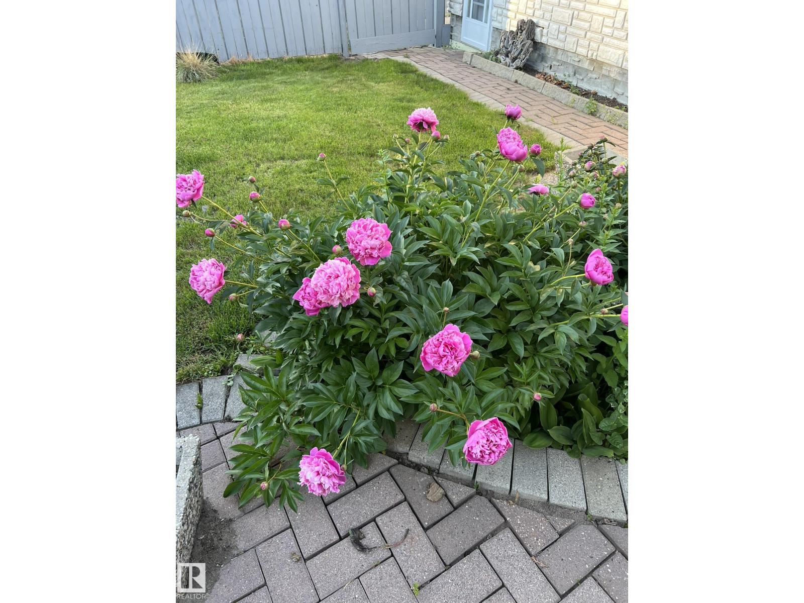 Photo 56 of 11712 136 Av Nw, Edmonton AB