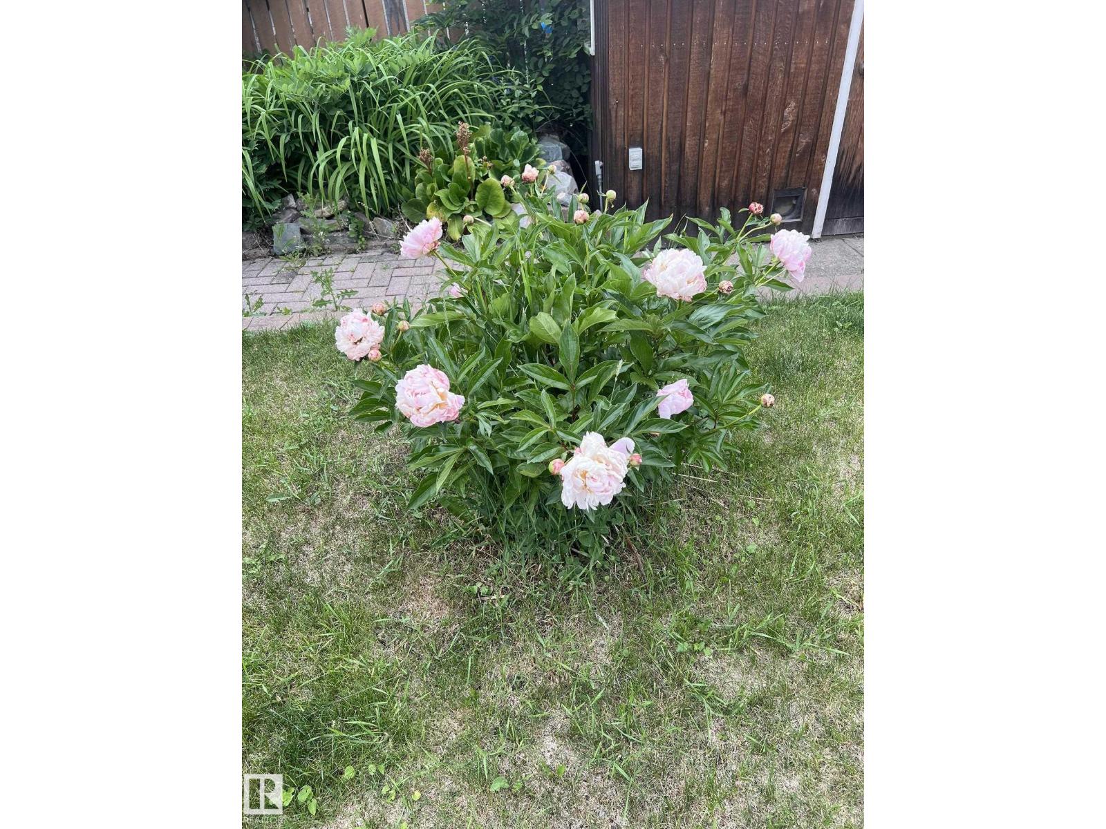 Photo 61 of 11712 136 Av Nw, Edmonton AB