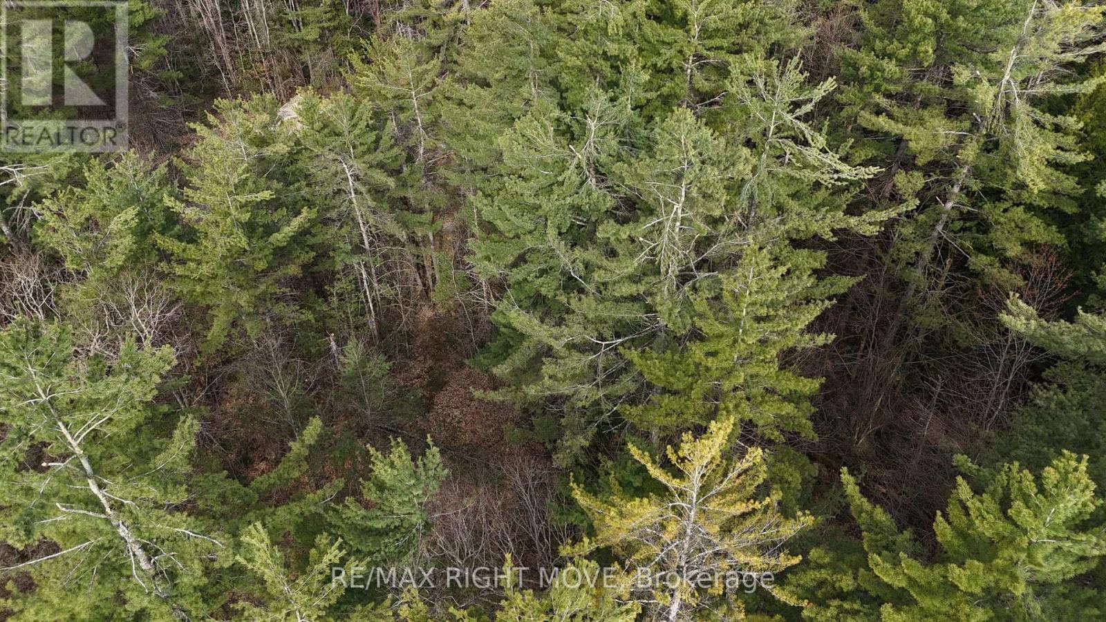 Photo 6 of 2159 Southwood Road, Gravenhurst ON