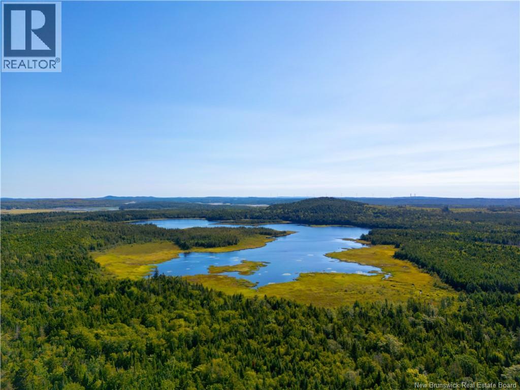 Photo 18 of 2614 Route 790, Musquash NB