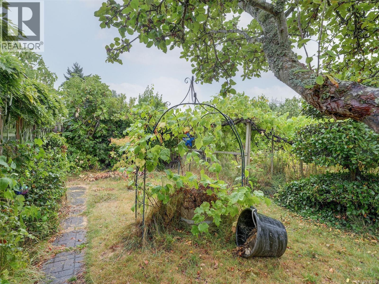 Photo 23 of 1611 Elm St, Saanich BC