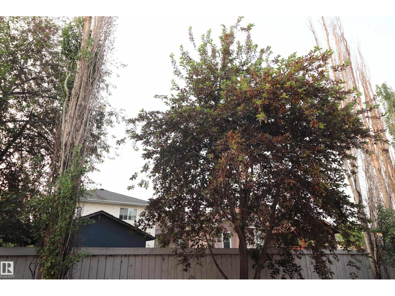 Photo 7 of 47 16728 115 St Nw, Edmonton AB