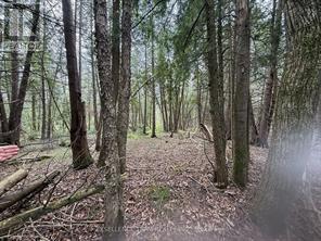 Photo 4 of 000 Kenyon Concession 1 Road, North Glengarry ON