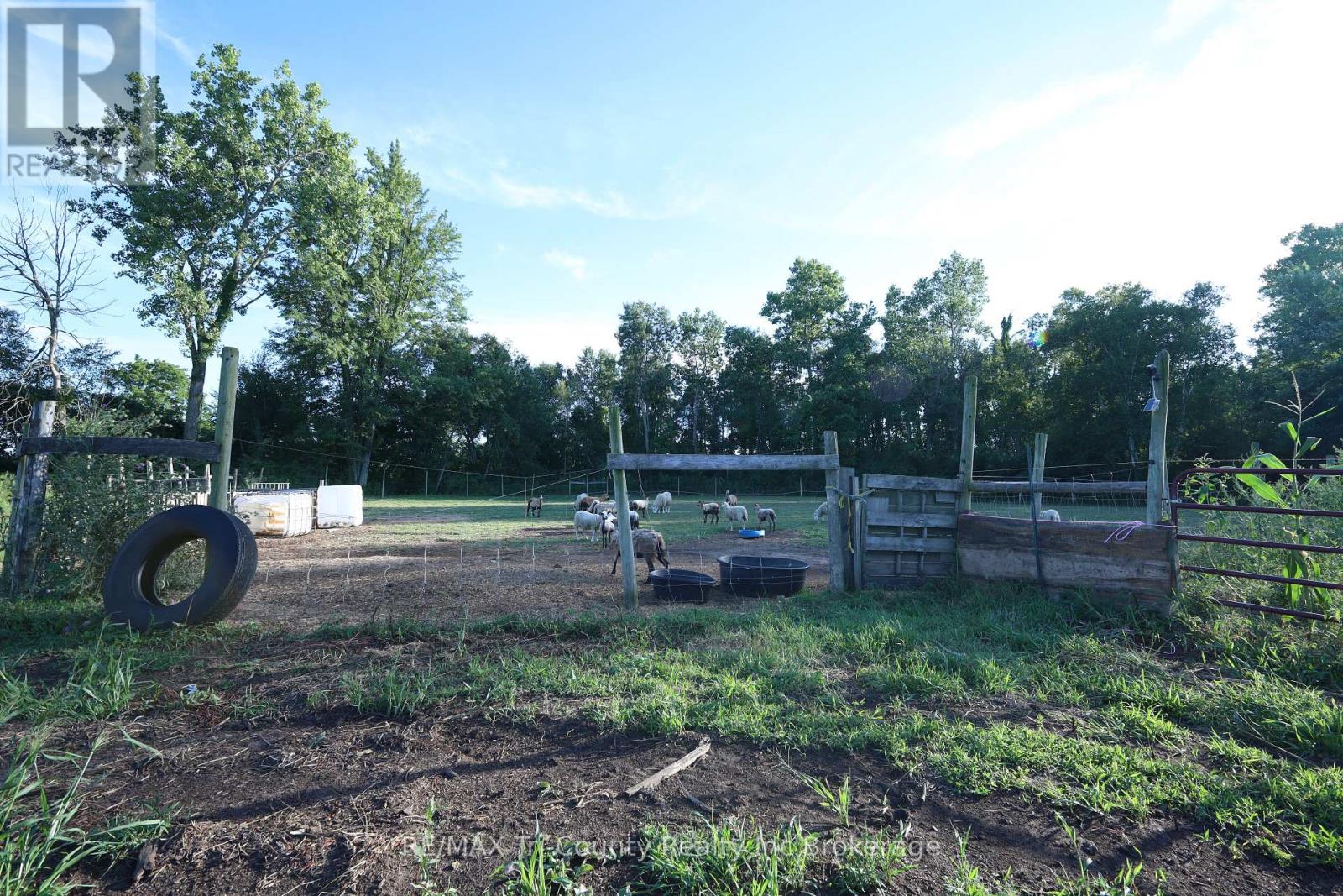 Photo 8 of 853 Norfolk County 28 Road, Norfolk ON