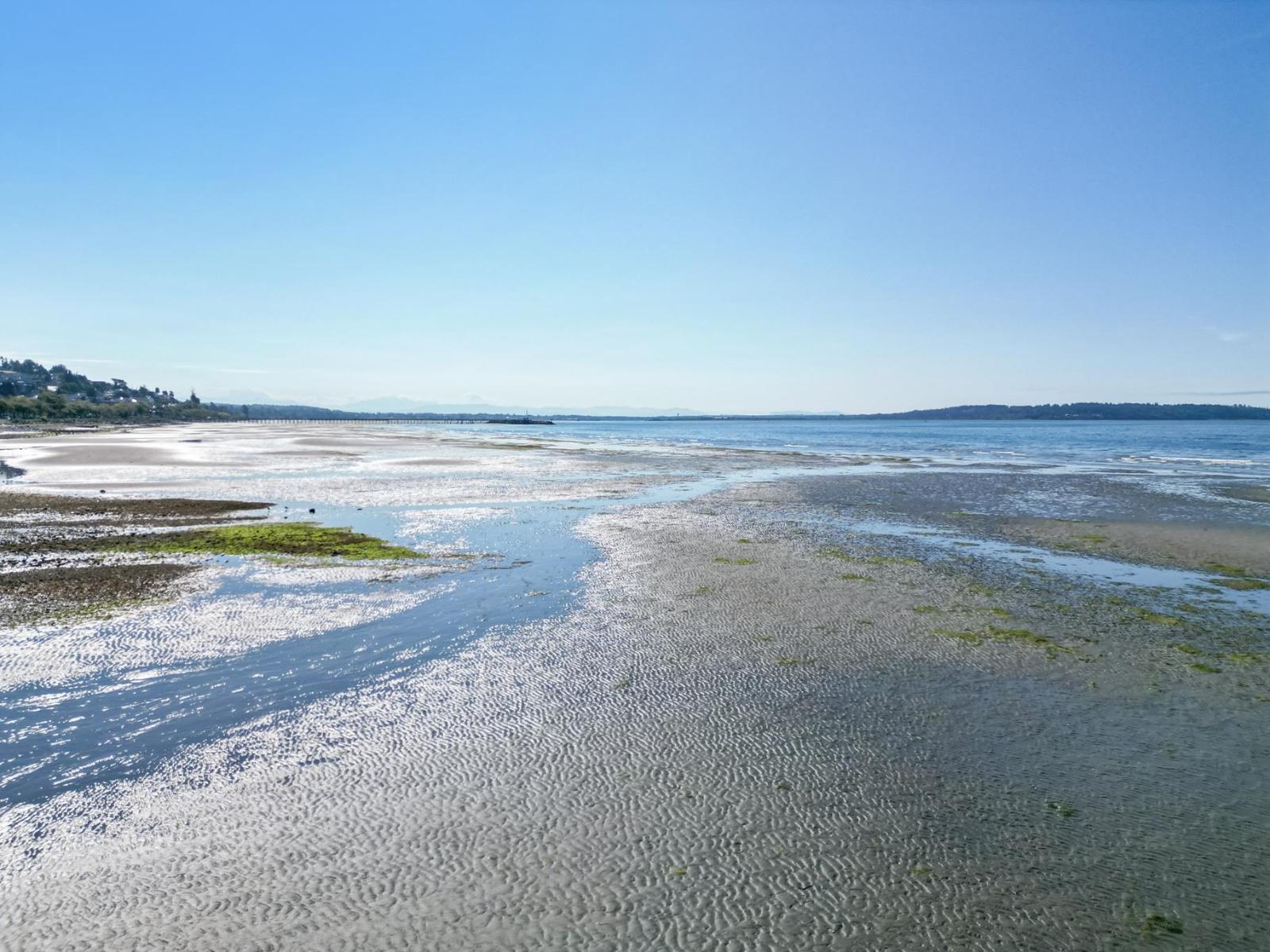 Photo 37 of 14495 Marine Drive, White Rock BC