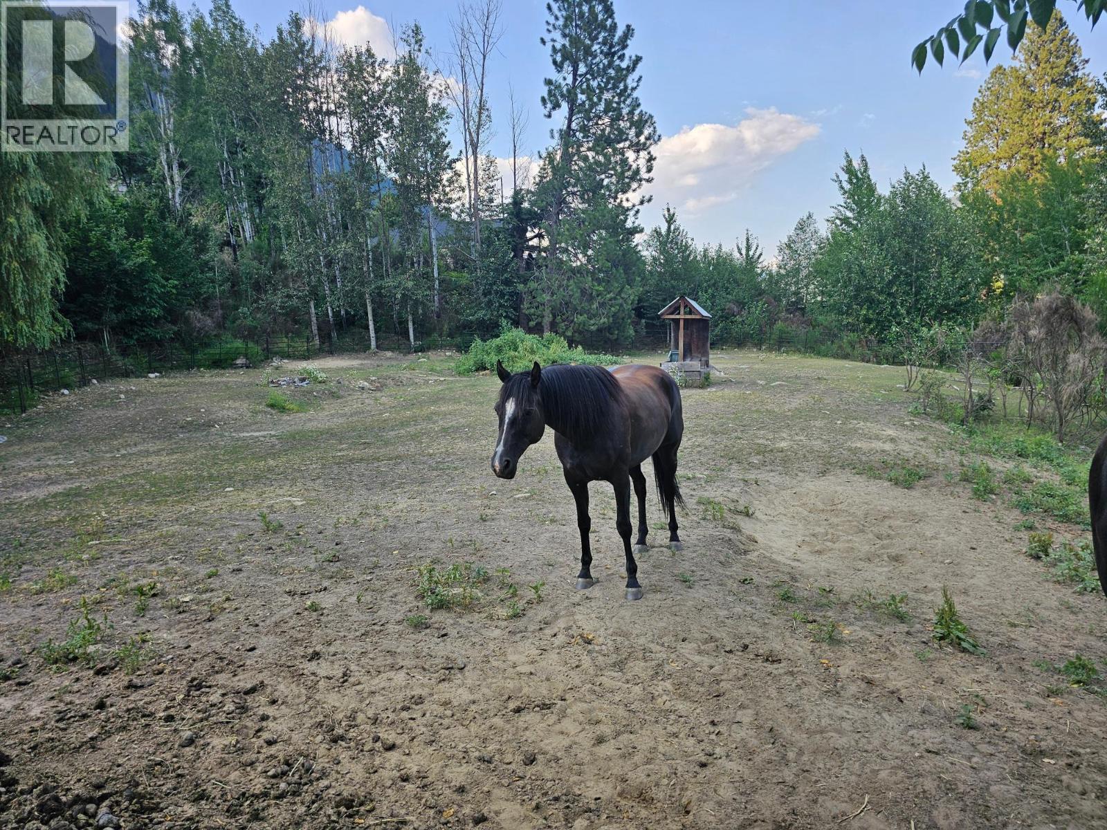 Photo 3 of 601 Valhalla Road, Nelson BC