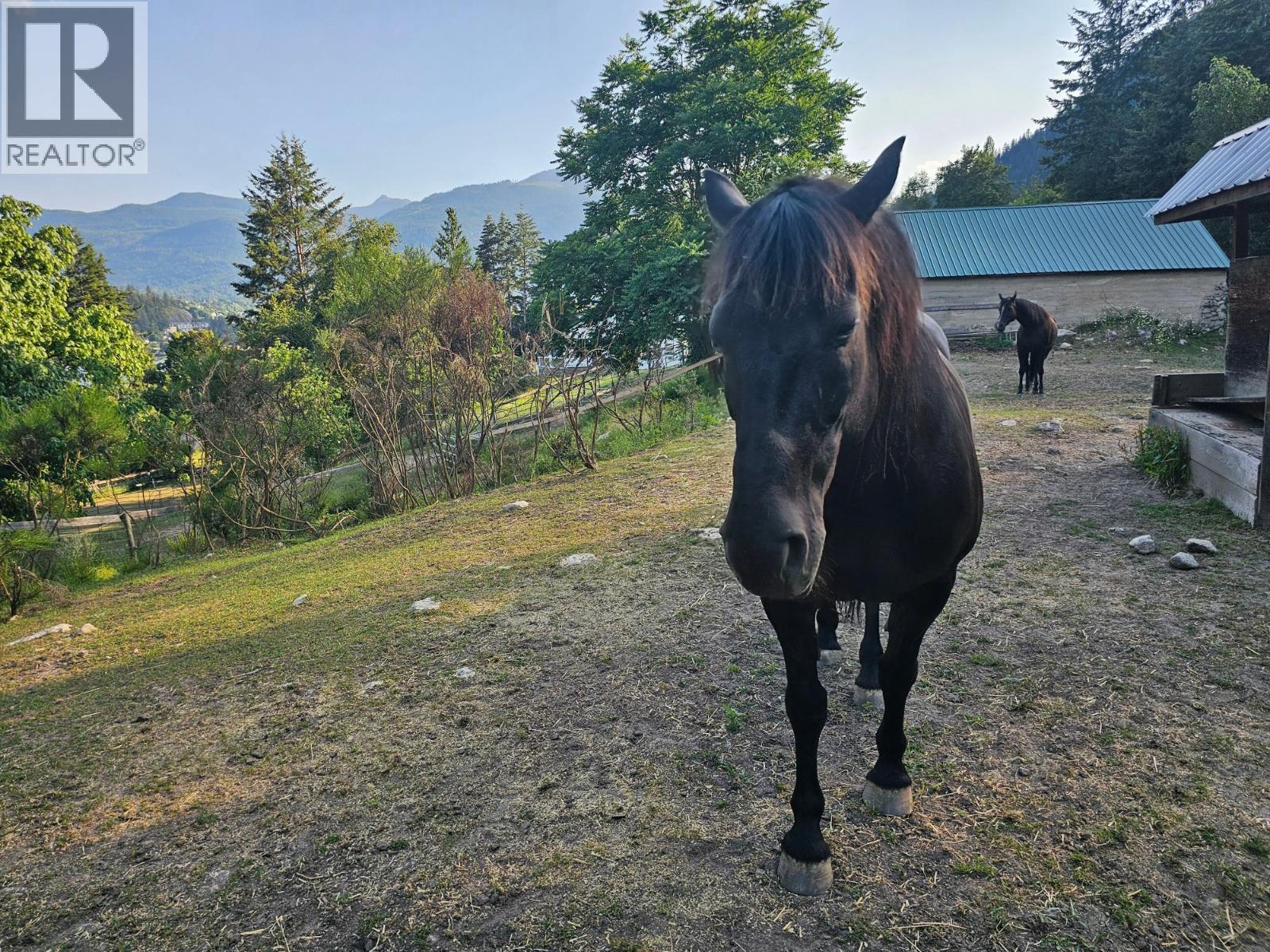 Photo 96 of 601 Valhalla Road, Nelson BC