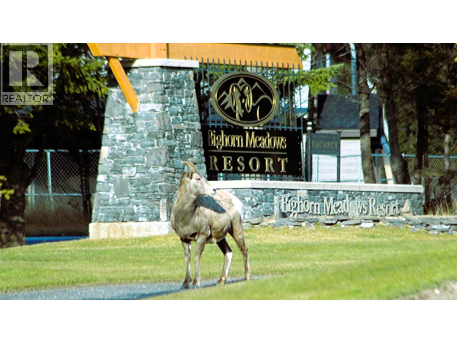 #634 B 600 BIGHORN BOULEVARD - 82
