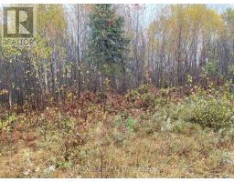 Lt 1 Con 6 54r-6390 Lot 1 Con 6 Marter Twp Road, Englehart, ON P0J1H0 Photo 6