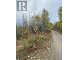 Lt 1 Con 6 54r-6390 Lot 1 Con 6 Marter Twp Road, Englehart, ON P0J1H0 Photo 8