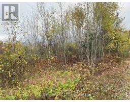 Lt 1 Con 6 54r-6390 Lot 1 Con 6 Marter Twp Road, Englehart, ON P0J1H0 Photo 9