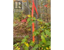 L1c1 54r-6371 Catharine Road, Englehart, ON P0J1H0 Photo 6