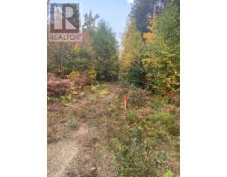 L1c1 54r-6371 Catharine Road, Englehart, ON P0J1H0 Photo 7