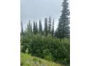 9890 Cathedral Drive, Vernon