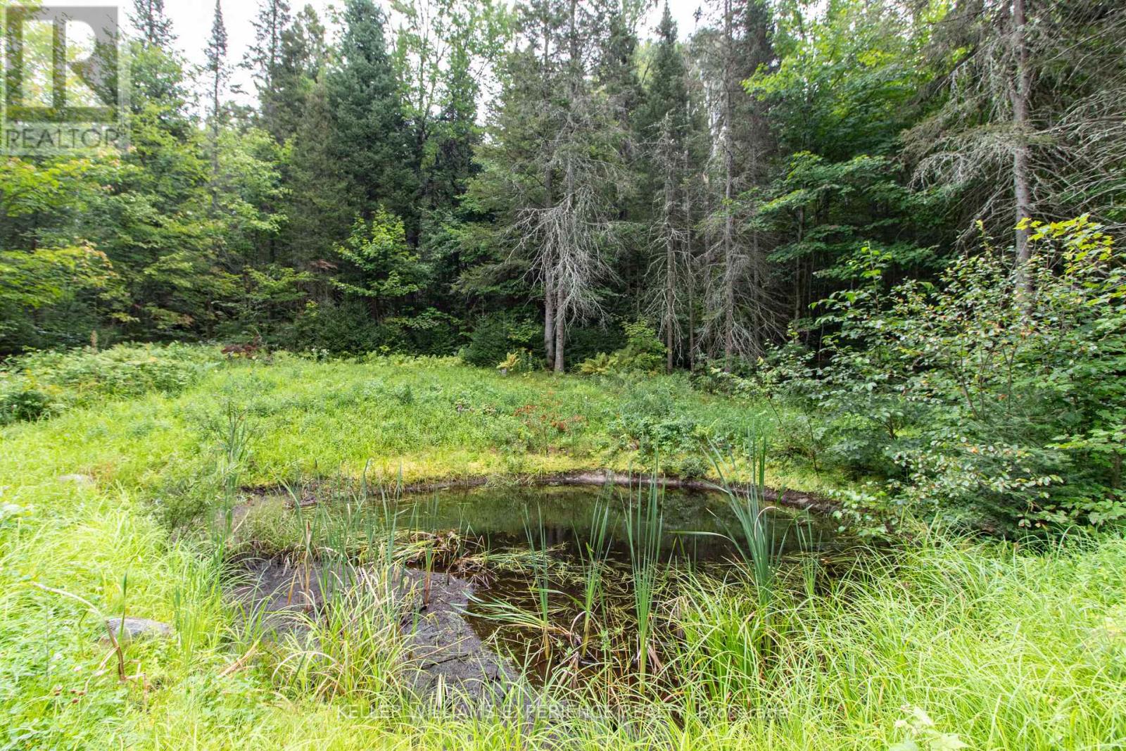 Photo 14 of 1415 Long Lake Road, Perry ON