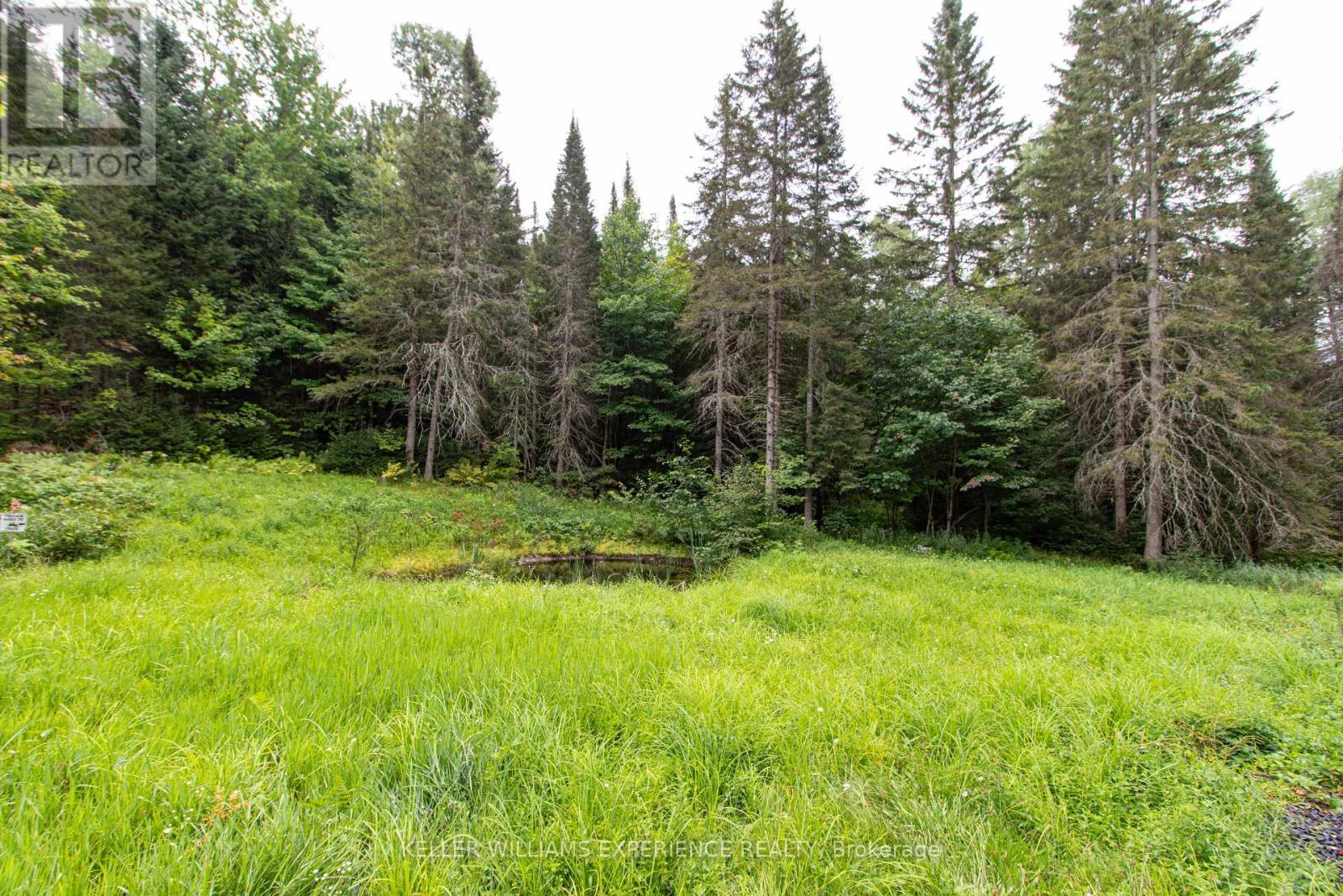 Photo 4 of 1415 Long Lake Road, Perry ON