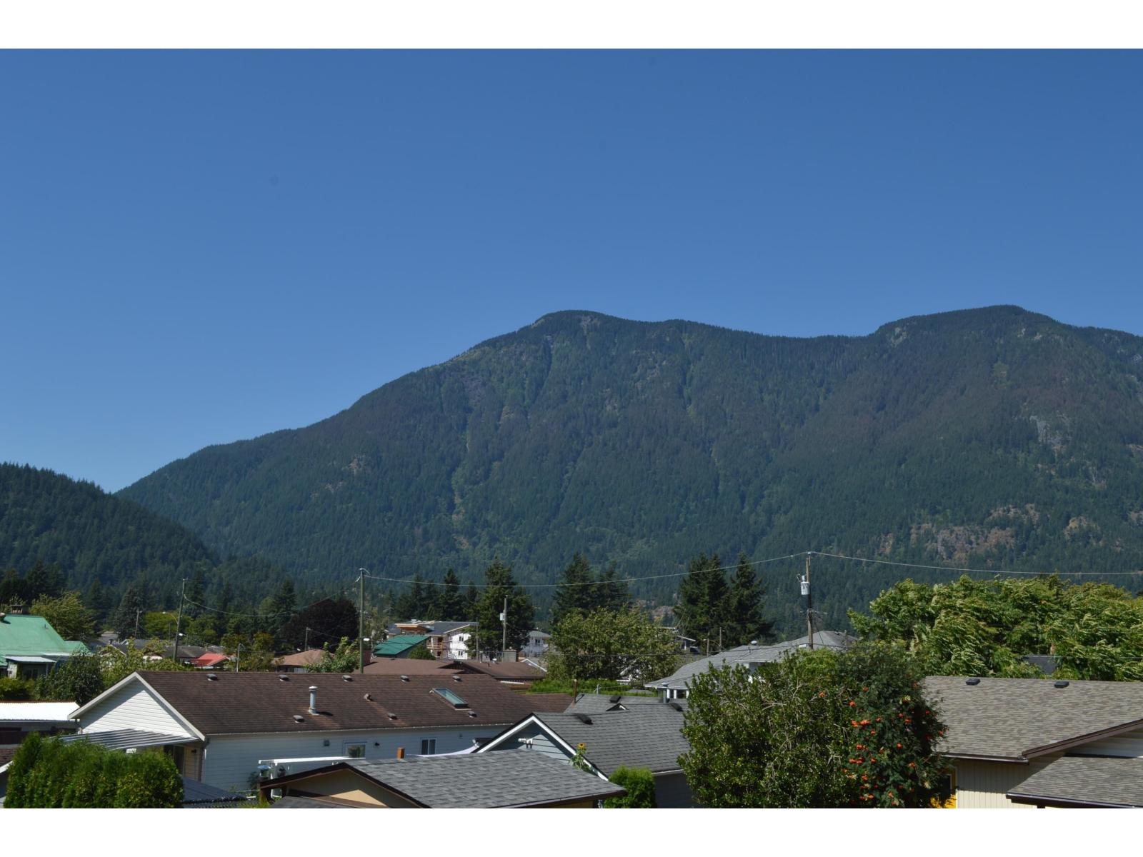 539 DOUGLAS STREET, Hope, Hope