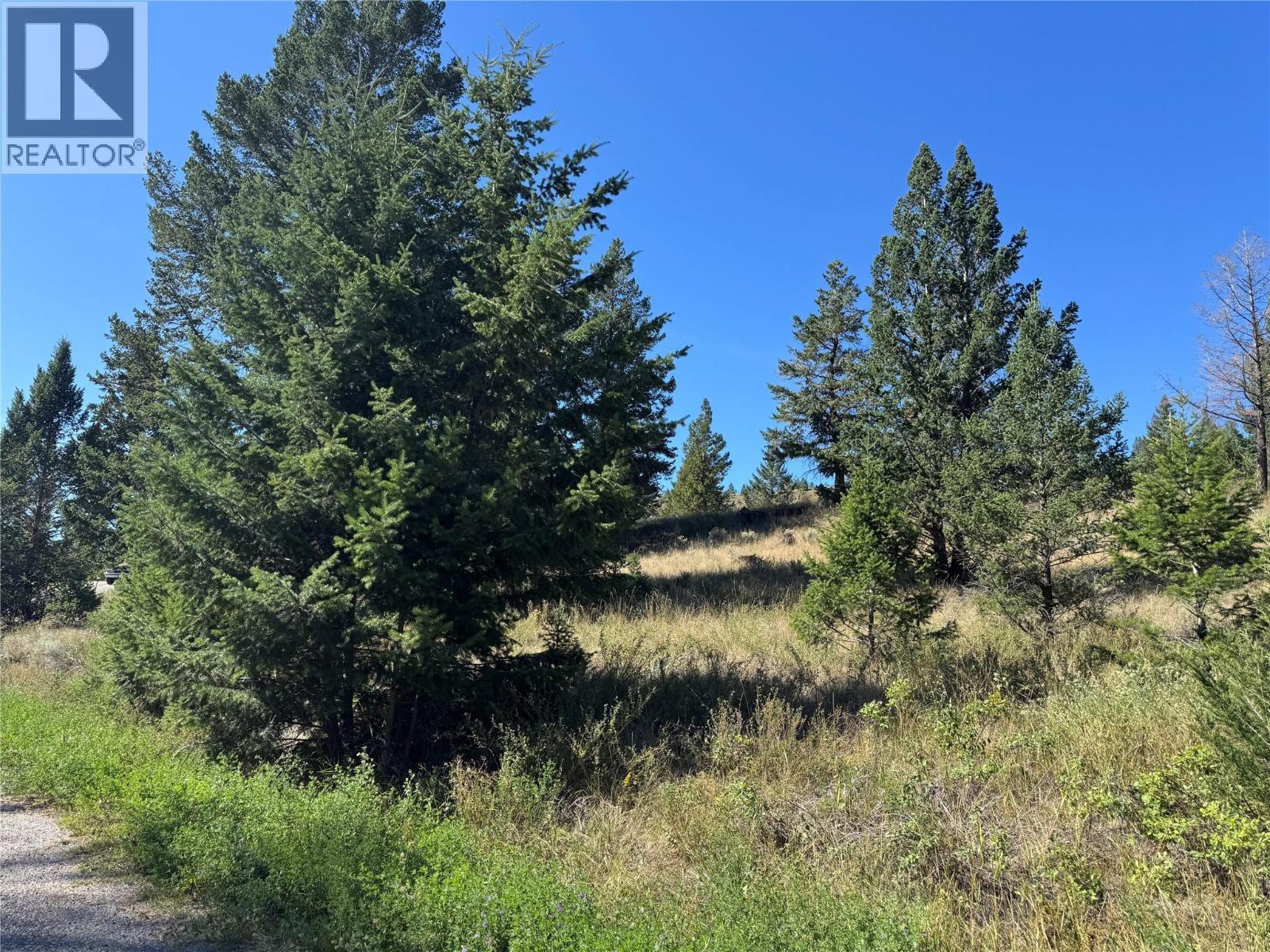 Photo 19 of Columbia Estates Road Lot Lot 13, Fairmont Hot Springs BC