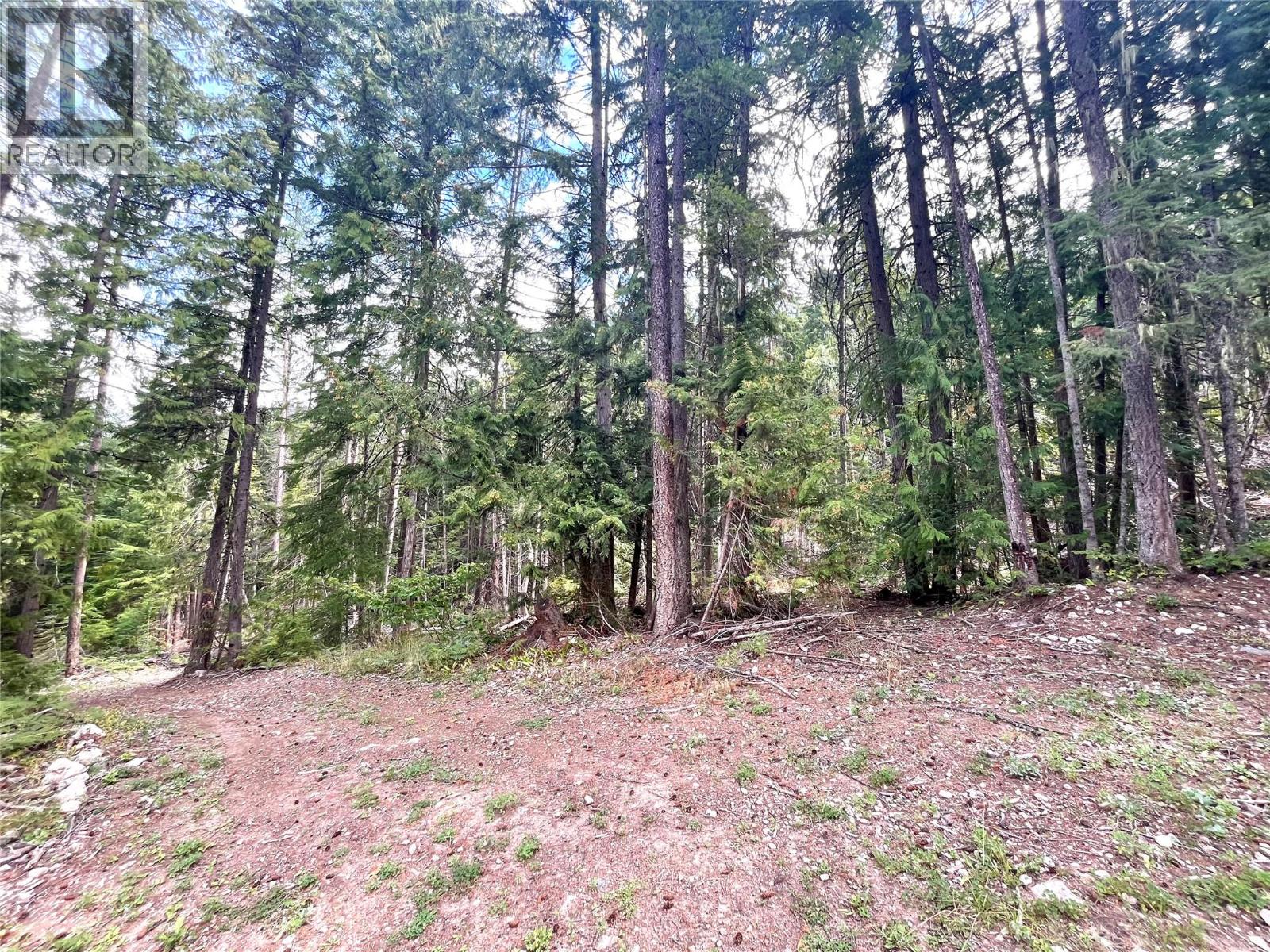Photo 56 of 7138 Graham Road, Winlaw BC