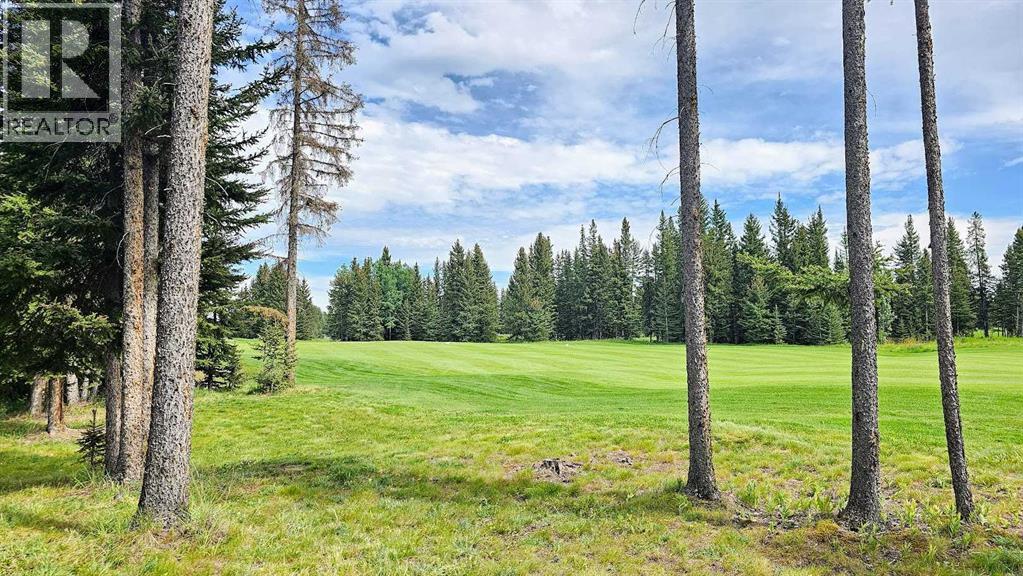Photo 39 of 70 32351 Range Road 55, Rural Mountain View County AB